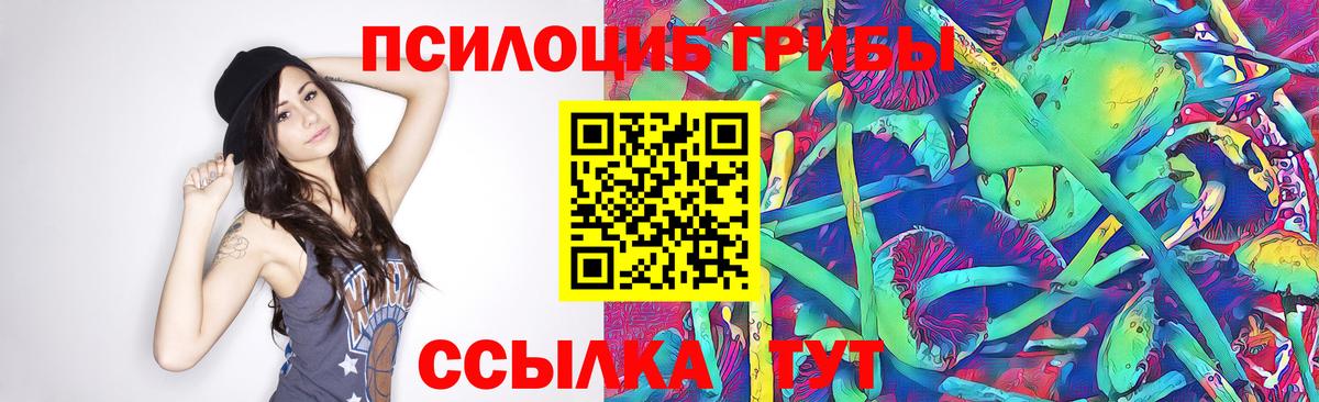 Губкин  Галлюциногенные грибы Cubensis  Галлюциногенные грибы мицелий  Вход с VPN 